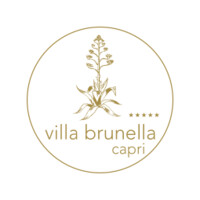 Hotel Villa Brunella logo - Similar company to Hotel La Minerva