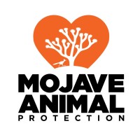 Mojave Animal Protection