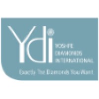 YDI LTD logo - Similar company to Infosoft Solutions