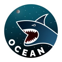 Ocean logo - Similar company to Evolution Data Business Consulting