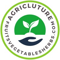 FVH for Fruits Vegetables Herbs logo - Similar company to Premium Medjool