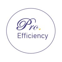 Pro Efficiency logo - Similar company to Belliere Maniere