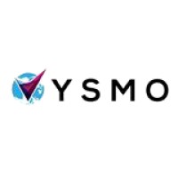 VYSMO logo - Similar company to Studio Rama