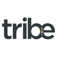 Tribe Group logo - Similar company to Tribe Group - Agency