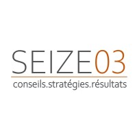 SEIZE03 logo - Similar company to Açaï Conseil