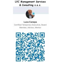 LVC Management Services & Consulting logo - Similar company to Faro Club