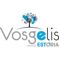 Vosgelis logo - Similar company to Est Team