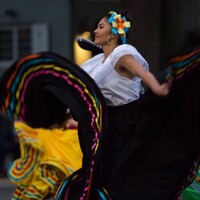 Alisal Center For The Fine Arts Inc