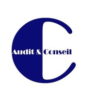 Concilium Audit et Conseil logo - Similar company to Vʌ | Valorya