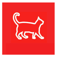 The Curious Company logo - Similar company to Curios