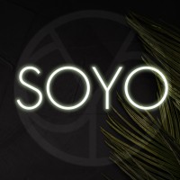 Soyo logo - Similar company to Soyo Systems