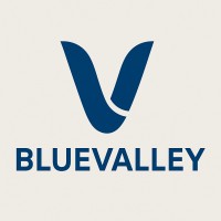 Bluevalley Consulting logo - Similar company to Automation Bot