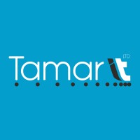 Tamar IT Ltd logo - Similar company to Csln Group