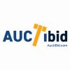 AuctiBid logo - Similar company to Dotify Online