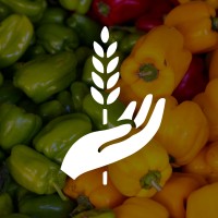 Campus Feed Initiative logo - Similar company to Ife Architecture Students' Association