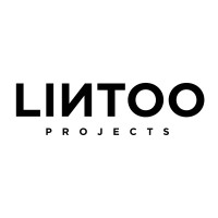 Lintoo Projects logo - Similar company to Ild.Eu