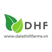 DHF Platforms logo - Similar company to Blue Wattle
