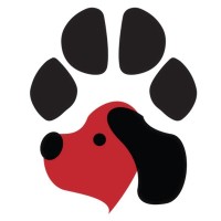 Plano Paws logo - Similar company to Paws & Pals