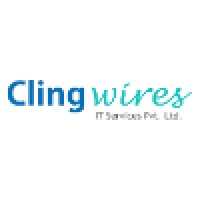 Clingwires It Services Pvt. Ltd.