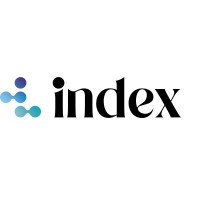 Index logo - Similar company to Big Blue Analytics