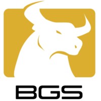 Business Growth Solutions logo - Similar company to Dubai Setup - Uae