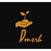 Dmsrh Consulting