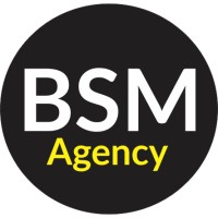 BSM Agency logo - Similar company to Bms Agency