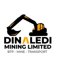 DINALEDI MINING LTD logo - Similar company to Geotools