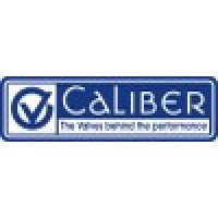 Caliber Valves Pvt Ltd