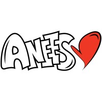 Anees LLC logo - Similar company to Camp Catanese Foundation