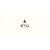 Globopolis India logo - Similar company to Uni Campaigner