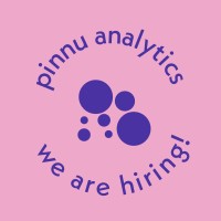 pinnu analytics logo - Similar company to Rittman Analytics