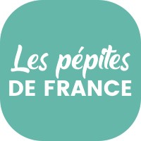 Les Pépites de France logo - Similar company to Blue Drivers
