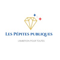 💎🇫🇷 Les Pépites Publiques logo - Similar company to Réussir Ensemble Fr