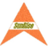 SunRise Consulting Services logo - Similar company to Team 360