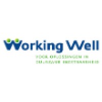 WORKING WELL voor oplossingen in duurzame inzetbaarheid