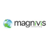 Magnivis Consulting