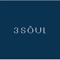 3Sōul logo - Similar company to Pious Eco Diamond