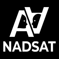 NADSAT logo - Similar company to Mostly Games