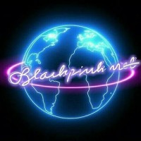 BLACKPINK NET logo - Similar company to Lalisa Group