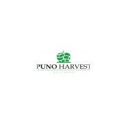 Puno Harvest Builders logo - Similar company to Makapane Projects And Consultancy