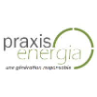 Praxis Energia SA logo - Similar company to Proxipel