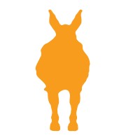 Donkeys Adventures