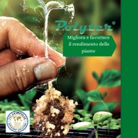 Polyter Italia logo - Similar company to Polyter