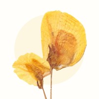 zara.eco logo - Similar company to Réseau Des Gasap Asbl