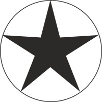 Black Star Products logo - Similar company to Techjini Solutions Pvt Ltd