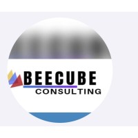 Beecube Consulting Services logo - Similar company to Star Nut