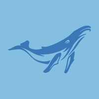 Blue Whale Design logo - Similar company to Wize Guy Design