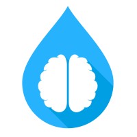 BrainSpace logo - Similar company to Avisi Technologies