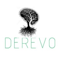 DEREVO logo - Similar company to Evo Analytics